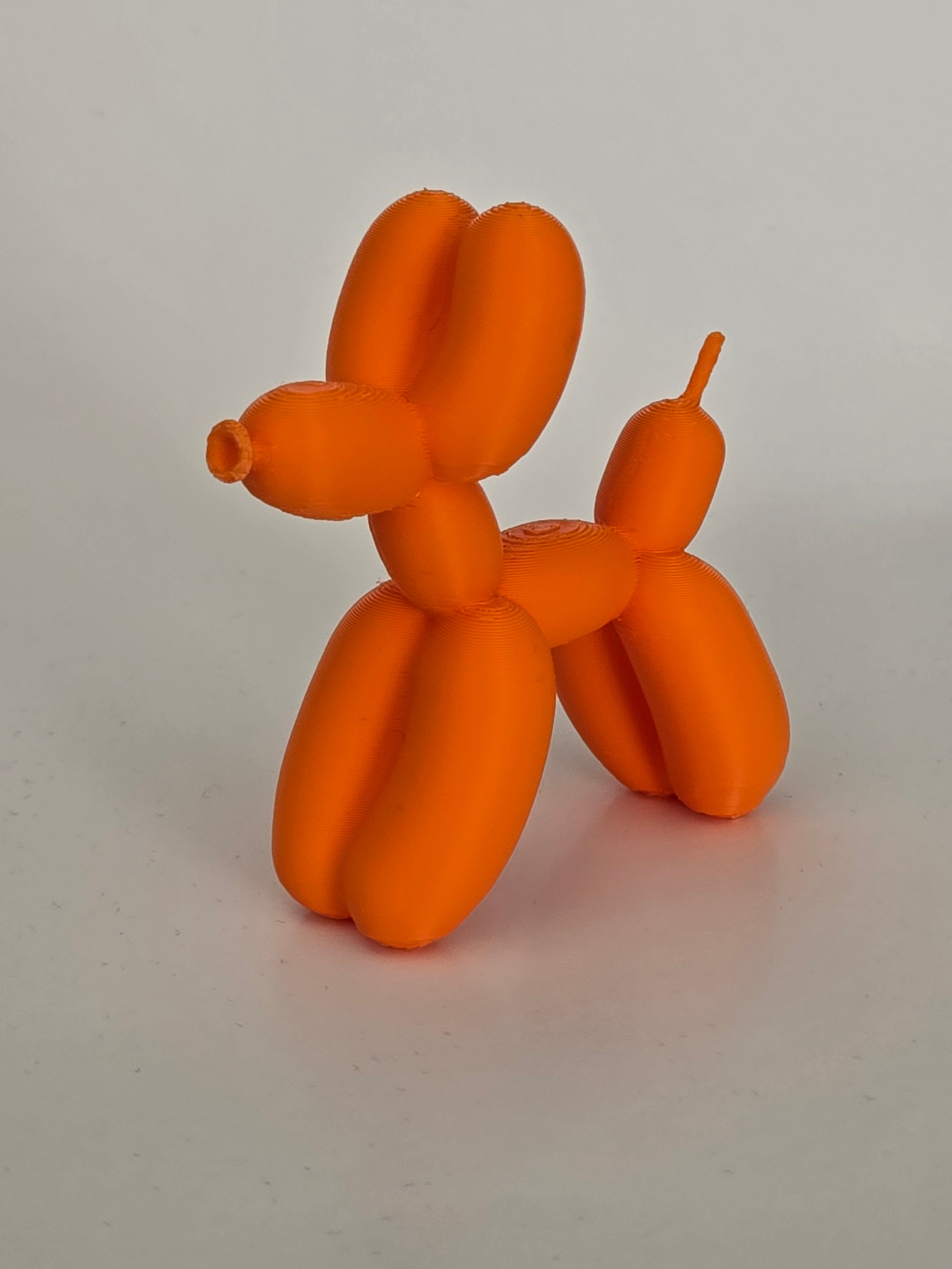 Balloon Dog